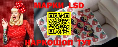 a pvp Можга