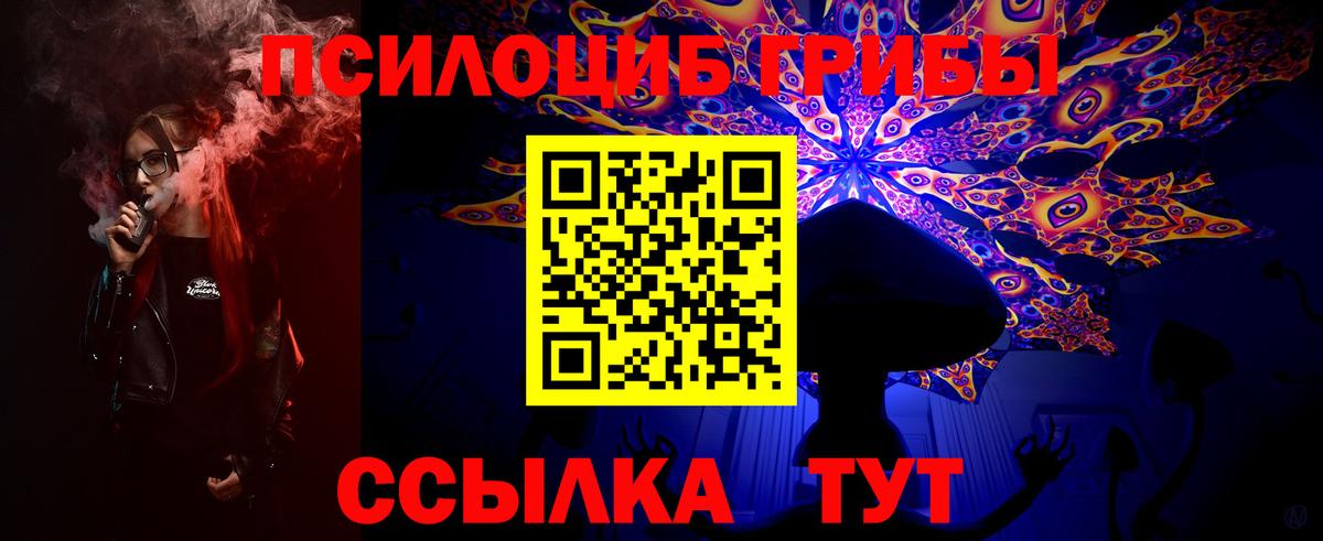 Псилоцибиновые грибы MAGIC MUSHROOMS Губкин